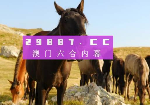 澳门管家婆一肖一码一中一开|全面解释解析落实