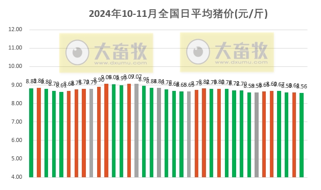 今日猪肉最新价格福建，市场分析、趋势预测与消费者反应