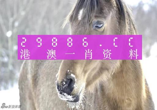 澳门一肖一码100%免费公开,香港经典解读落实