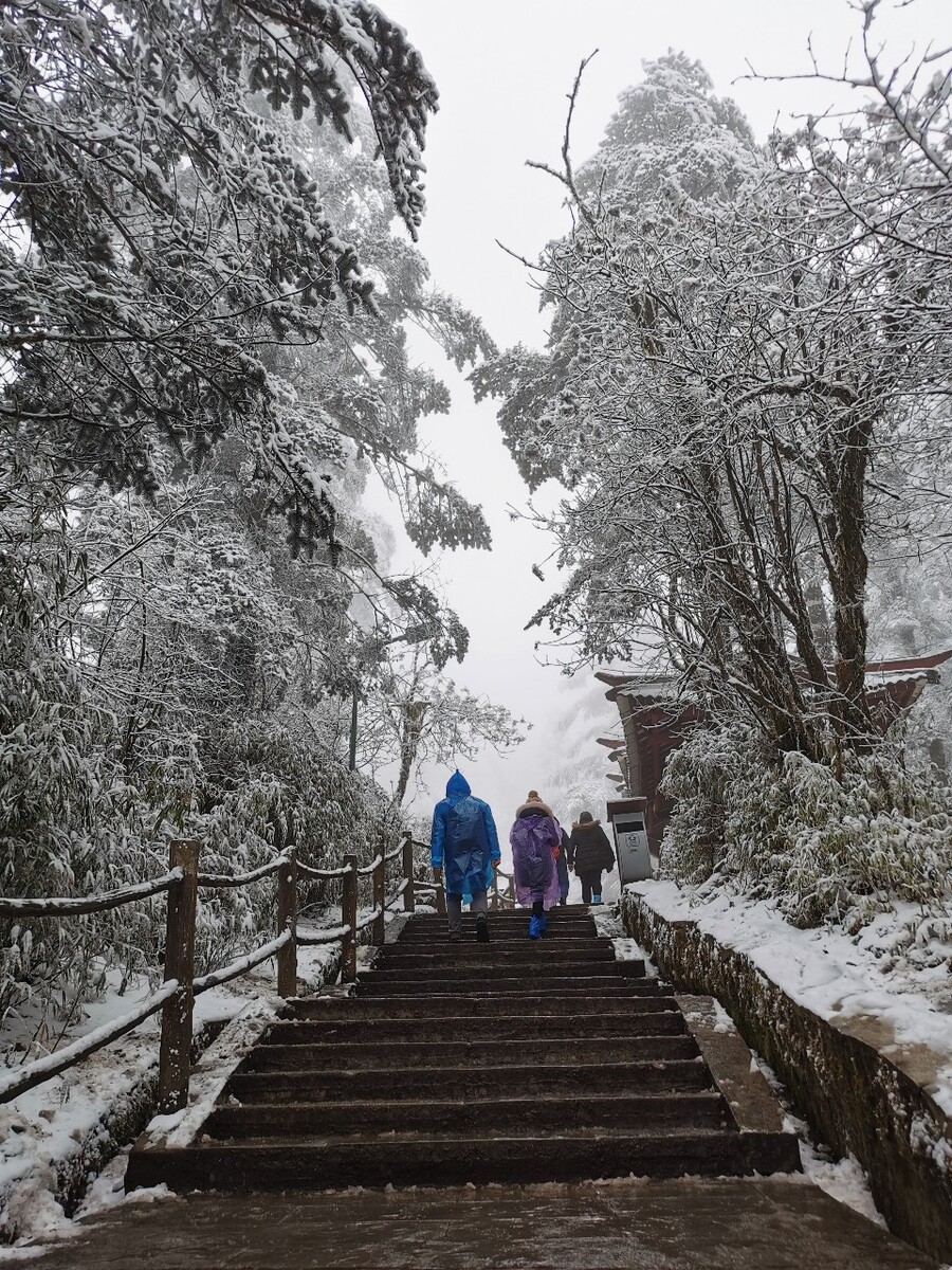 峨眉山最新雪