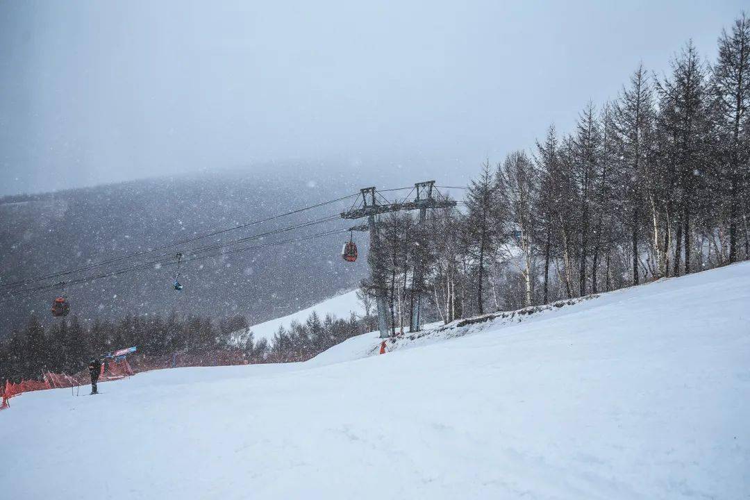 万龙最新雪图