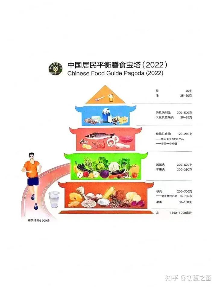 2022最新膳食指南